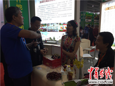 2017新疆特色林果产品(广州)交易会广州举行-中青在线